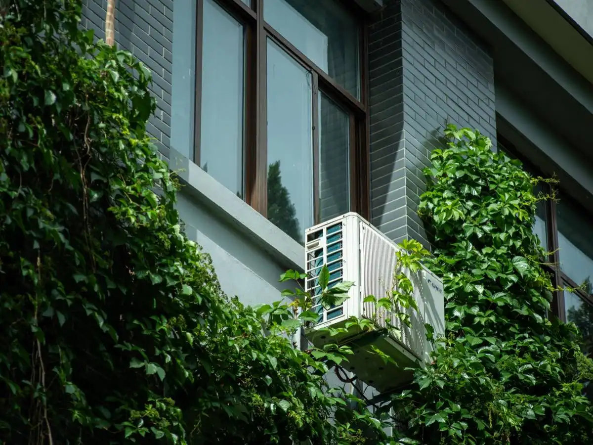 Energy-Efficient Windows in Elgin, IL